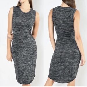 Aritzia Wilfred Free Dress
